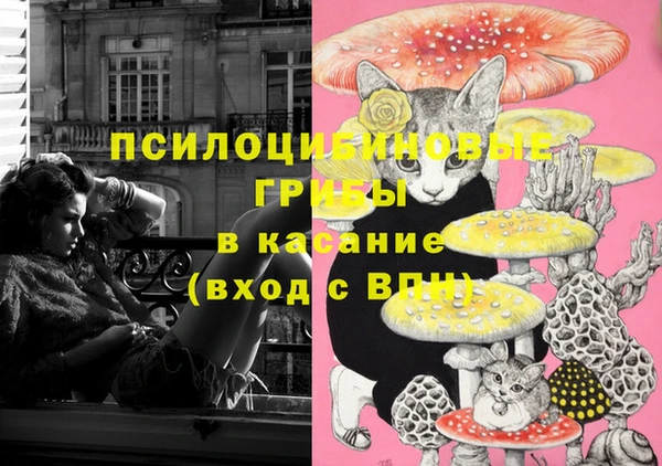 дурь Балахна